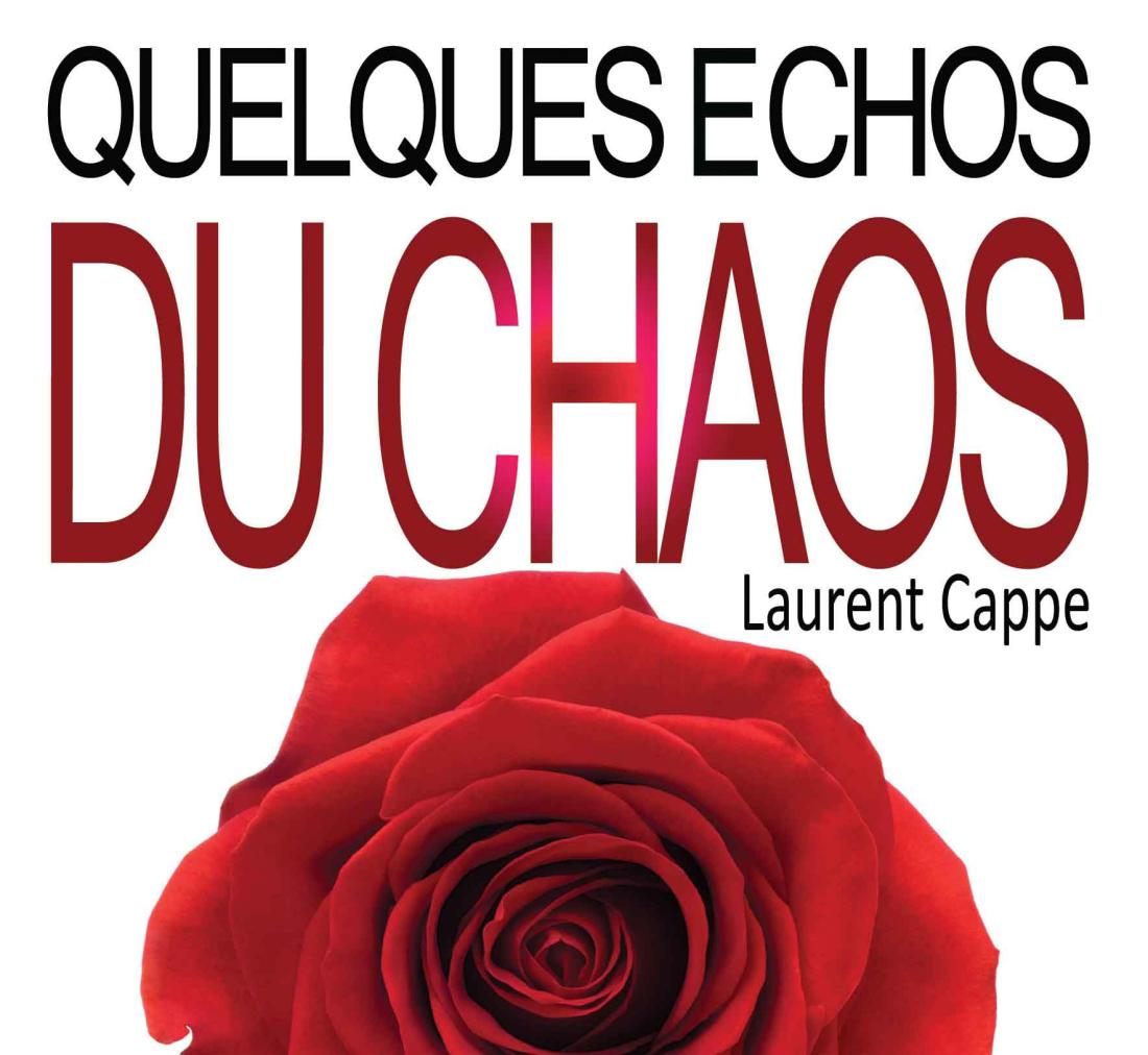 QUELQUES ECHOS DU CHAOS